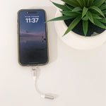 Shop Audio Cables from Fuse Audio